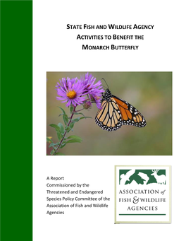 Monarch Butterfly Report