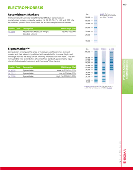 Electrophoresis Andcoomassie Formulated Toyieldadistributionofwell-Definedbandsapproximately Equal Low Rangemarkersare Ready Forusefollowingreconstitution Withwater