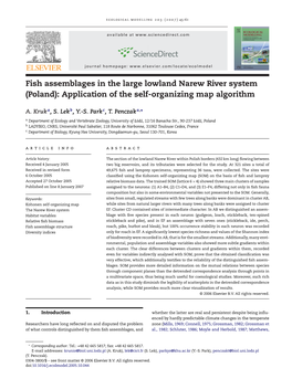 Fish Assemblages in the Large Lowland Narew River System (Poland): Application of the Self-Organizing Map Algorithm