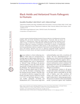 Black Molds and Melanized Yeasts Pathogenic to Humans