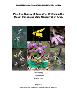 Post-Fire Survey of Terrestrial Orchids in the Mount Canobolas State Conservation Area