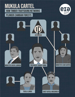 Mukula Cartels 12 Tasila Lungu Connection 12 Traditional Chief’S Quid Pro Quo: Votes in Exchange for Mukula Logs 13 Given Lubinda’S Group 14