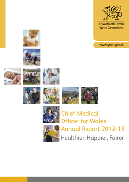 Chief Medical Officer for Wales Annual Report 2012-13