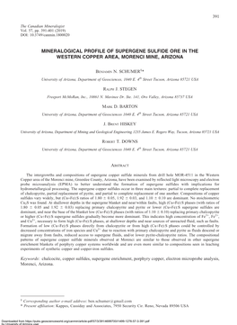 Mineralogical Profile of Supergene Sulfide Ore in the Western Copper Area, Morenci Mine, Arizona