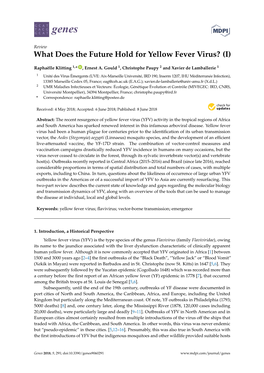 What Does the Future Hold for Yellow Fever Virus ?