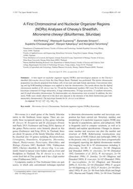 Analyses of Cheveys Sheetfish, Micronema Cheveyi