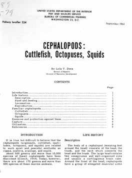 CEPHALOPODS: Cuttlefish, Octopuses, Squids