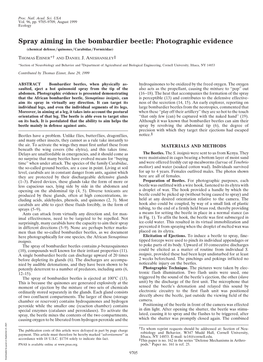 Spray Aiming in the Bombardier Beetle: Photographic Evidence (Chemical Defense͞quinones͞carabidae͞formicidae)
