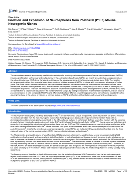 Isolation and Expansion of Neurospheres from Postnatal (P1−3) Mouse Neurogenic Niches