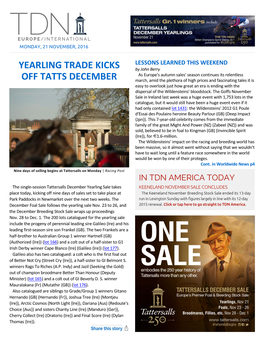 Yearling Trade Kicks Off Tatts December