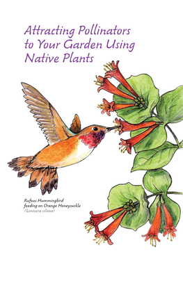 Attracting Pollinators to Your Garden Using Native Plants