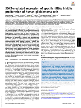 SOX4-Mediated Repression of Specific Trnas Inhibits Proliferation of Human Glioblastoma Cells