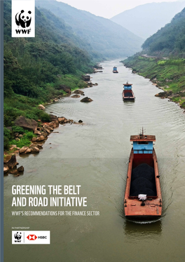 Greening the Belt and Road Initiative Wwf’S Recommendations for the Finance Sector