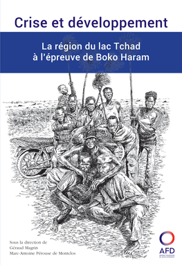 La Région Du Lac Tchad À L'épreuve De Boko Haram