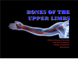 Bones of the Upper Limbs