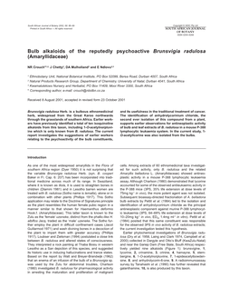 Bulb Alkaloids of the Reputedly Psychoactive Brunsvigia Radulosa (Amaryllidaceae)