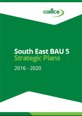 Forestplans BAU 5 Strategic P