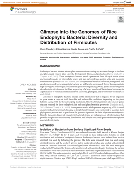 Glimpse Into the Genomes of Rice Endophytic Bacteria: Diversity and Distribution of Firmicutes