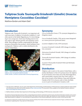 Tuliptree Scale Toumeyella Liriodendri (Gmelin) (Insecta: Hemiptera: Coccoidea: Coccidae)1 Matthew Borden and Adam Dale2