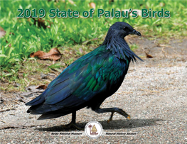 State of Palaus Birds 2019