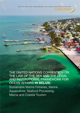 The United Nations Convention on the Law of the Sea and the Legal and Institutional Framework for Ocean Affairs in Belize