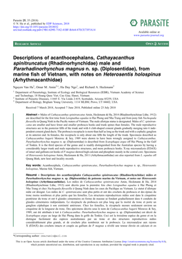 Descriptions of Acanthocephalans, Cathayacanthus Spinitruncatus (Rhadinorhynchidae) Male and Pararhadinorhynchus Magnus N