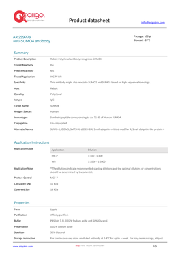 Anti-SUMO4 Antibody (ARG59779)