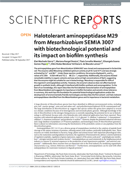 Halotolerant Aminopeptidase M29 from Mesorhizobium SEMIA 3007