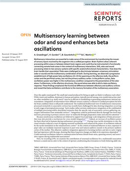 Multisensory Learning Between Odor and Sound Enhances Beta Oscillations Received: 28 January 2019 A