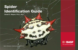 BASF Spider Identification Guide