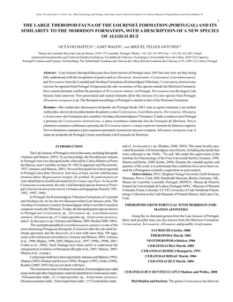 The Large Theropod Fauna of the Lourinhã Formation (Portugal) and Its Similarity to the Morrison Formation, with a Description of a New Species of Allosaurus