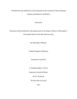 I Protoberberine-Type Alkaloids As Lead Compounds for the Treatment