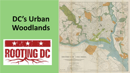 DC's Urban Woodlands