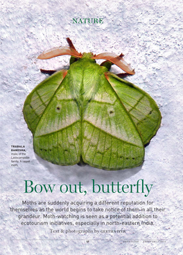Bow Out, Butterfly
