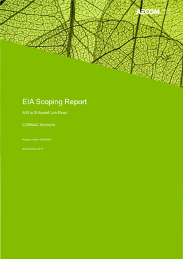 Environmental Impact Assessment