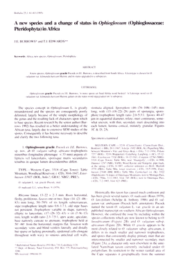 A New Species and a Change of Status in Ophioglossum (Ophioglossaceae: Pteridophyta) in Africa