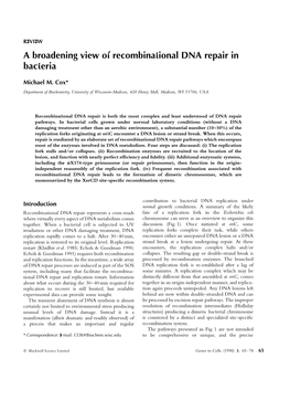 A Broadening View of Recombinational DNA Repair in Bacteria