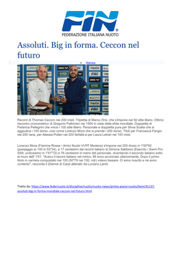 Assoluti. Big in Forma. Ceccon Nel Futuro  Stampa