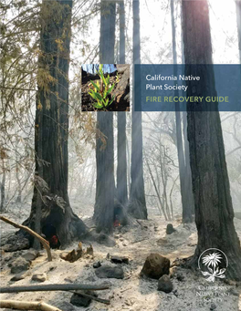 FIRE RECOVERY GUIDE This Guide Exists Thanks to Dozens of Topical Experts Who Kindly Shared Their Time and Knowledge, and the Support of a Thoughtful Anonymous Donor