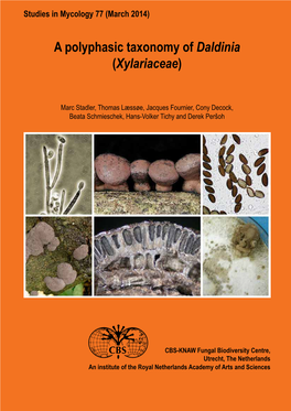 A Polyphasic Taxonomy of Daldinia (Xylariaceae)