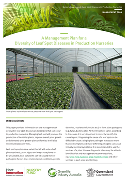 A Management Plan for a Diversity of Leaf Spot Diseases in Production Nurseries