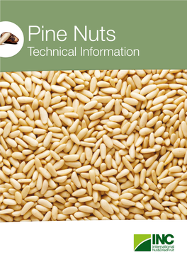 Pine Nuts Technical Information Pine Nuts 1