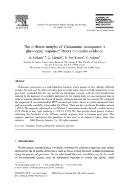 The Different Morphs of Chthamalus Anisopoma:A Phenotypic Response? Direct Molecular Evidence