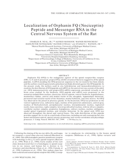 Peptide and Messenger RNA in the Central Nervous System of the Rat