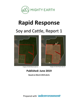 Rapid Response Soy and Cattle, Report 1