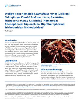 Stubby-Root Nematode, Nanidorus Minor (Colbran) Siddiqi (Syn