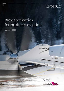 Brexit Scenarios for Business Aviation