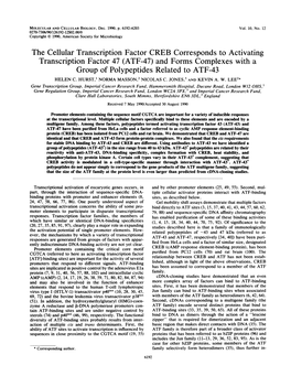 The Cellular Transcription Factor CREB Corresponds To