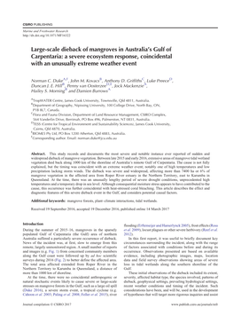 Large-Scale Dieback of Mangroves in Australia's Gulf of Carpentaria