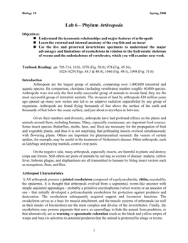 Lab 6 – Phylum Arthropoda